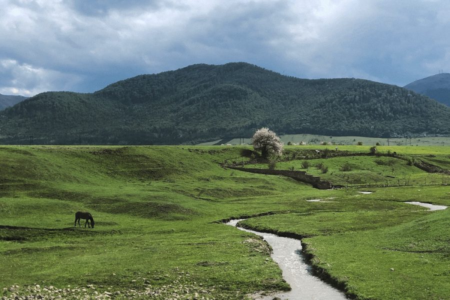 Charm of Evening Yerevan & Treasures of Lori